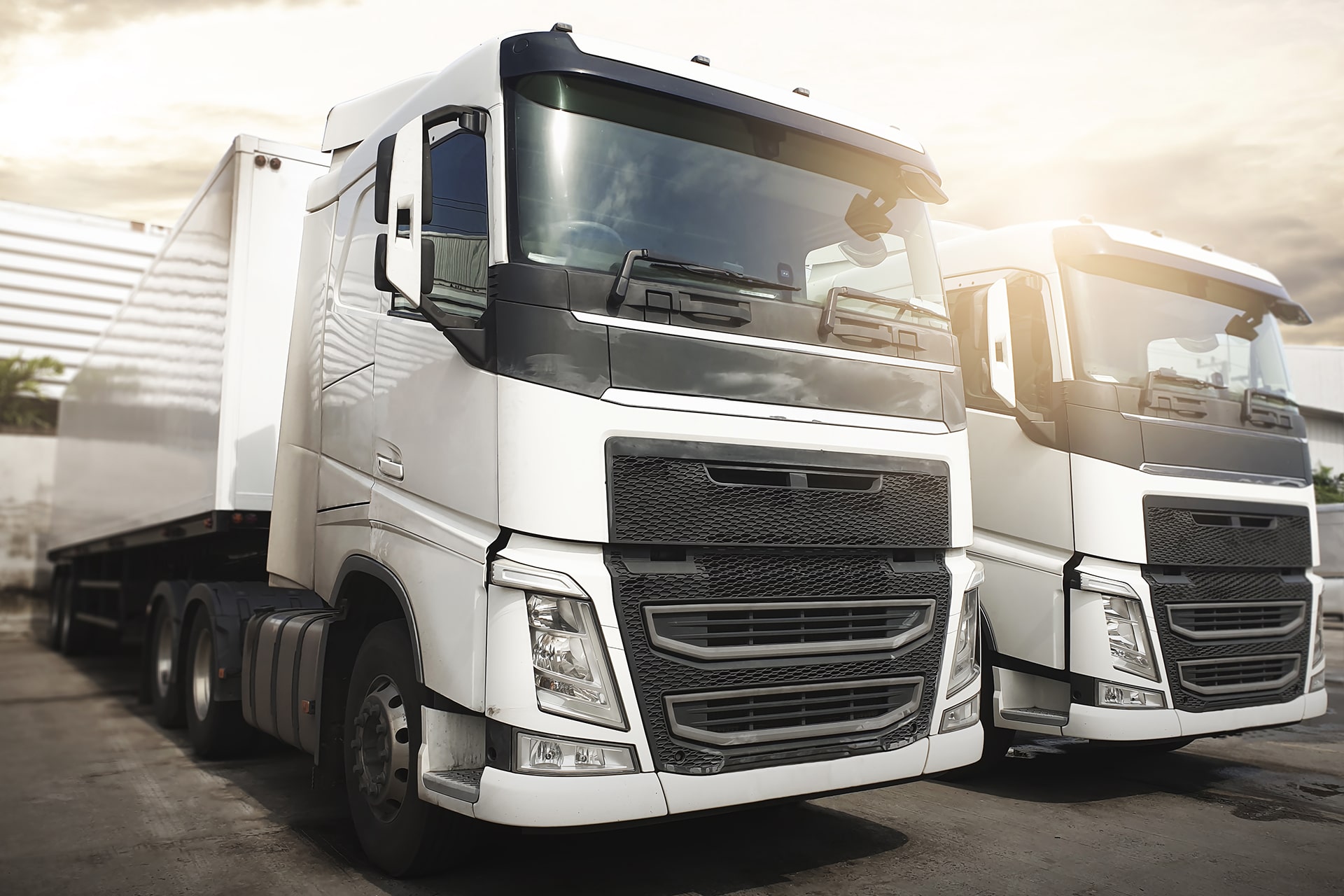 Qualität und Service bei Carcompany in Schwechat